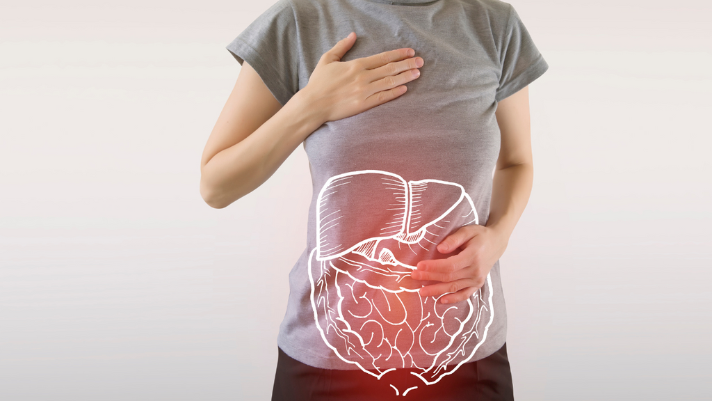 The Science Behind Probiotic Gummies: How They Improve Digestion