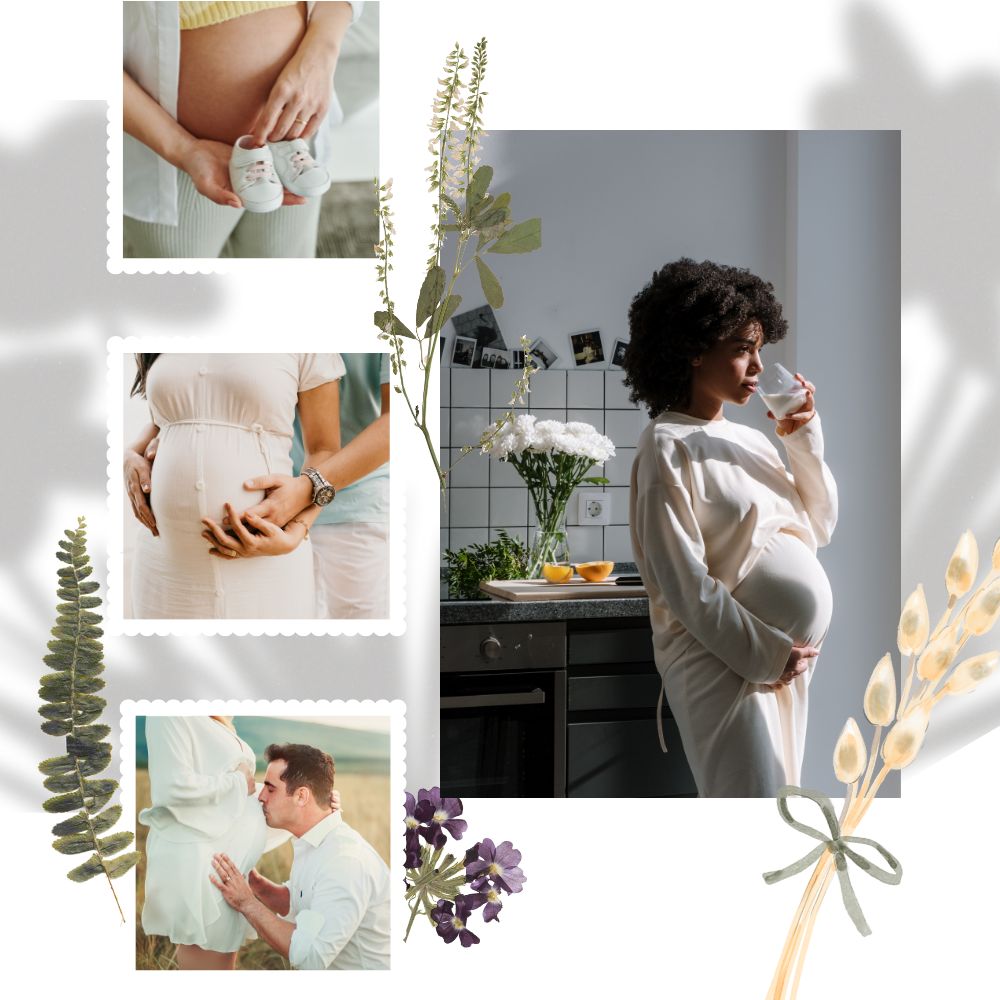 Pregnancy and Iron Gummies What Every Woman Should Know