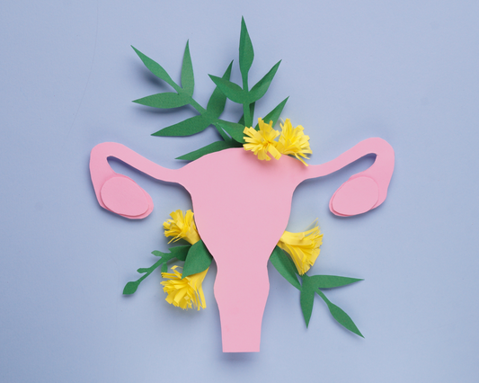 Probiotic Gummies for Women: How They Can Improve Reproductive Health