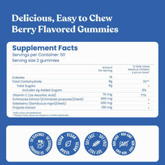Supplement facts of elderberry gummies, including serving size, amount per serving, and a list of ingredients such as elderberry extract, vitamin C, and natural flavors